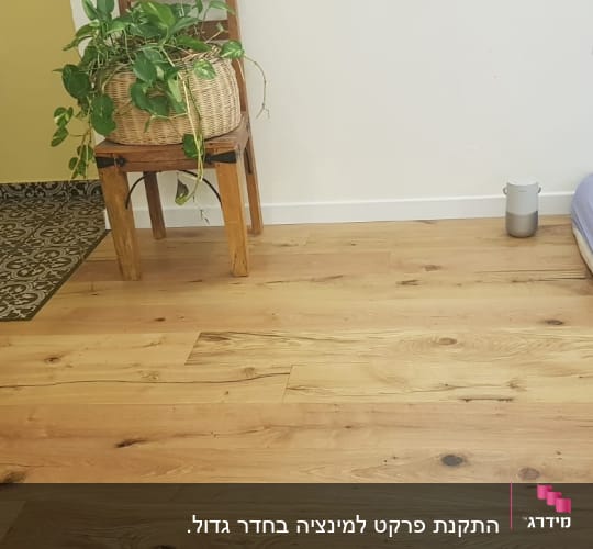 רצפת פרקט עץ בהירה עם גוונים טבעיים